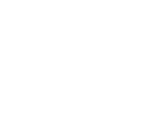 Ryvoki